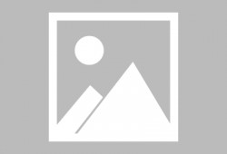 最新飞行棋爆料,创新玩法与趣味升级